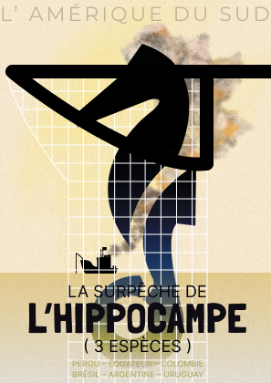 Carte postale hippocampe