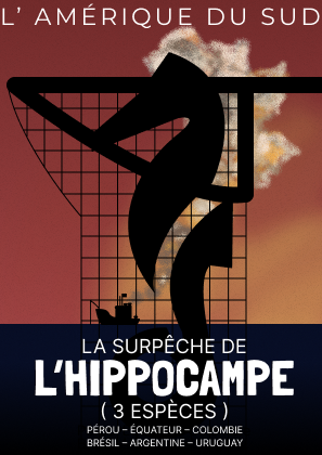 Version rouge sombre